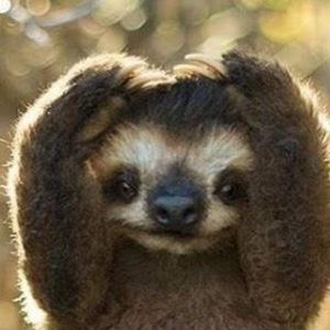 Meet your Posher, Kim